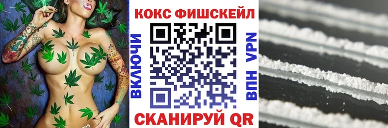 где продают наркотики  blacksprut ТОР  COCAIN FishScale  Завитинск 