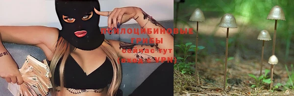 амф Арсеньев